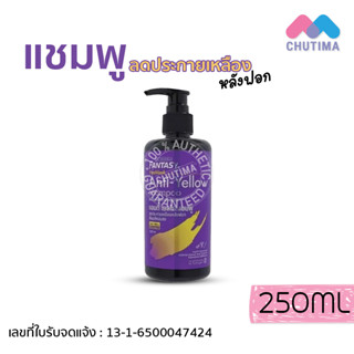 แชมพูม่วง ลดประกายเหลือง แคร์บิว แฟนตาซี เฟรชลุค แอนตี้เยลโล่ แชมพู Carebeau Fantasy Anti-Yellow Shampoo 250ml.