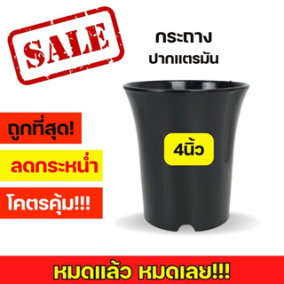 กระถางปากแตร 4 นิ้ว ผิวมัน เนื้อเงา กระถางทรงสูง กระถางแคคตัส กระถางกระบองเพชร