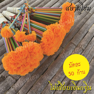 ไม้เสียบเงินกฐิน (1มัด 50 ก้าน) ดอกดาวเรือง ไม้เสียบธนบัตร ไม้เสียบเงิน สำหรับประดับต้นกฐิน สินค้าพร้อมส่ง