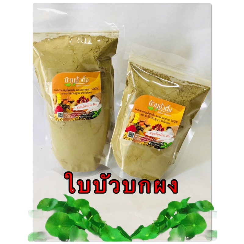 ใบบัวบกผง-สินค้าบดผง-100