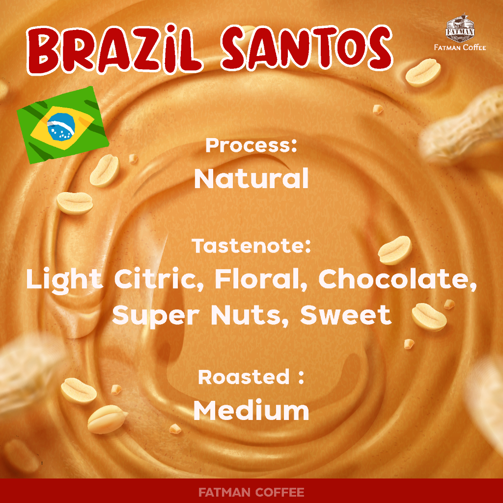 bz-02-เมล็ดกาแฟ-brazil-santos-medium-17-18-เนยถั่วแถมช็อค-brazil-ที่ถูกที่สุดในประเทศ