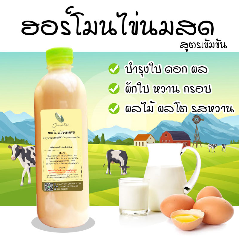 ฮอร์โมนไข่นมสด-2in1-สูตรเข้มข้น-ออแกนิค-100-บำรุงใบ-เร่งดอก-ผลดก-เพิ่มผลผลิต-ขนาดบรรจุ-180มล