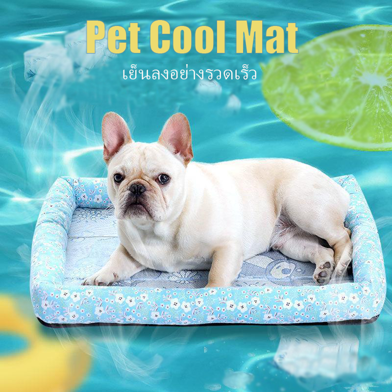 cod-ที่นอนสัตว์เลี้ยง-ที่นอนเย็น-สำหรับตว์เลี้ยง-แผ่นลเย็น-ที่นอนสุนัข-pet-cool-mat