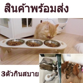 [ มีสินค้าฟรี 1 ] ชามอาหารแมว ชามอาหารสัตว์เลี้ยง พร้อมส่ง 3หลุม