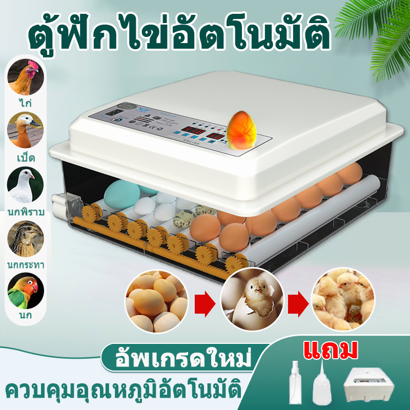 ตู้ฟักไข่-ตู้ฟักไข่อัตโนมัติ-เครื่องฟักไข่-เครื่องฟักไข่อัตโนมัติ-ตู้ฟักไข่ไก่-16-36-ไข่-แถมของแถม