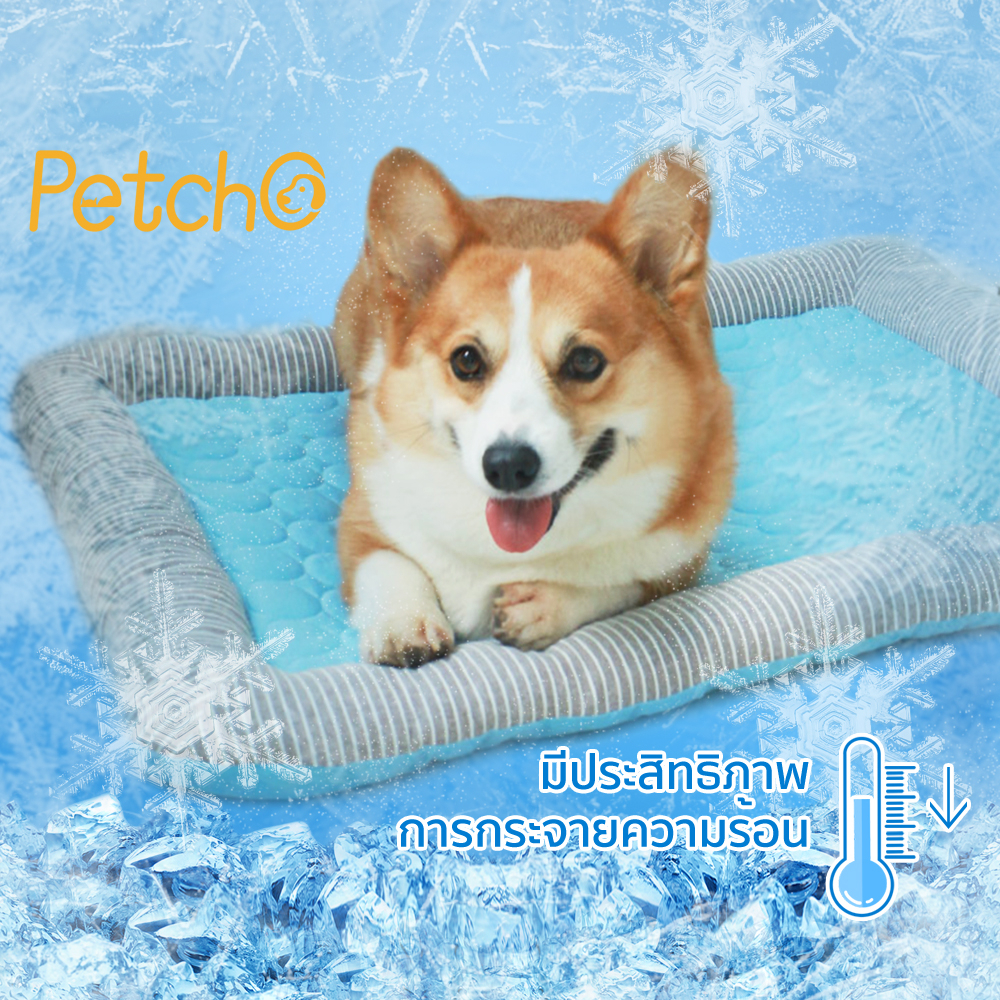 ภาพหน้าปกสินค้าPetcho ️ที่นอนสุนัข ที่นอนเย็น สำหรับตว์เลี้ยง ผ้าระบายความเย็น ที่นอนสัตว์เลี้ยง เบาะแมวเบาะสุนัข แผ่นลเย็นPet Cool mat จากร้าน petcho01 บน Shopee