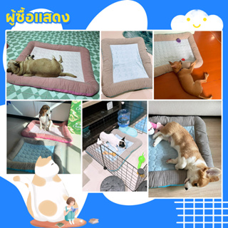 ภาพขนาดย่อของภาพหน้าปกสินค้าPetcho ️ที่นอนสุนัข ที่นอนเย็น สำหรับตว์เลี้ยง ผ้าระบายความเย็น ที่นอนสัตว์เลี้ยง เบาะแมวเบาะสุนัข แผ่นลเย็นPet Cool mat จากร้าน petcho01 บน Shopee ภาพที่ 4