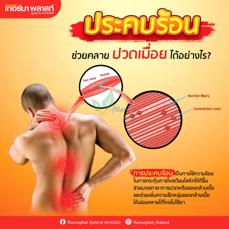 therma-plast-back-pain-relief-shoulder-pain-relief-กล่อง-8-ชิ้น-ลดอาการปวดบ่า-ปวดหลัง