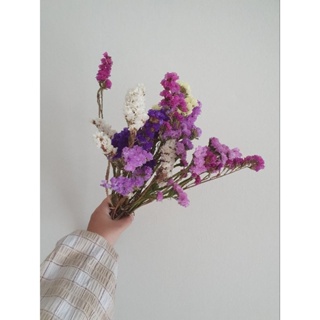 ดอกไม้ ดอกไม้แห้ง สแตติส ยิปโซ สุ่ย เเคสเปียร์ กำเล็ก 65 cm ราคาเดียว 99 บาท