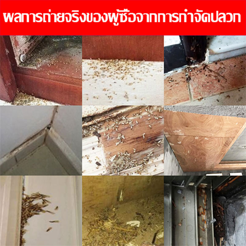 ฆ่าปลวกติดเชื้อตายในรัง-ผงกำจัดปลวก-75g-กำจัดปลวก-ยากำจัดปลวก-ผงกำจัดมด-ปลวกผง-ผงโรยปลวก