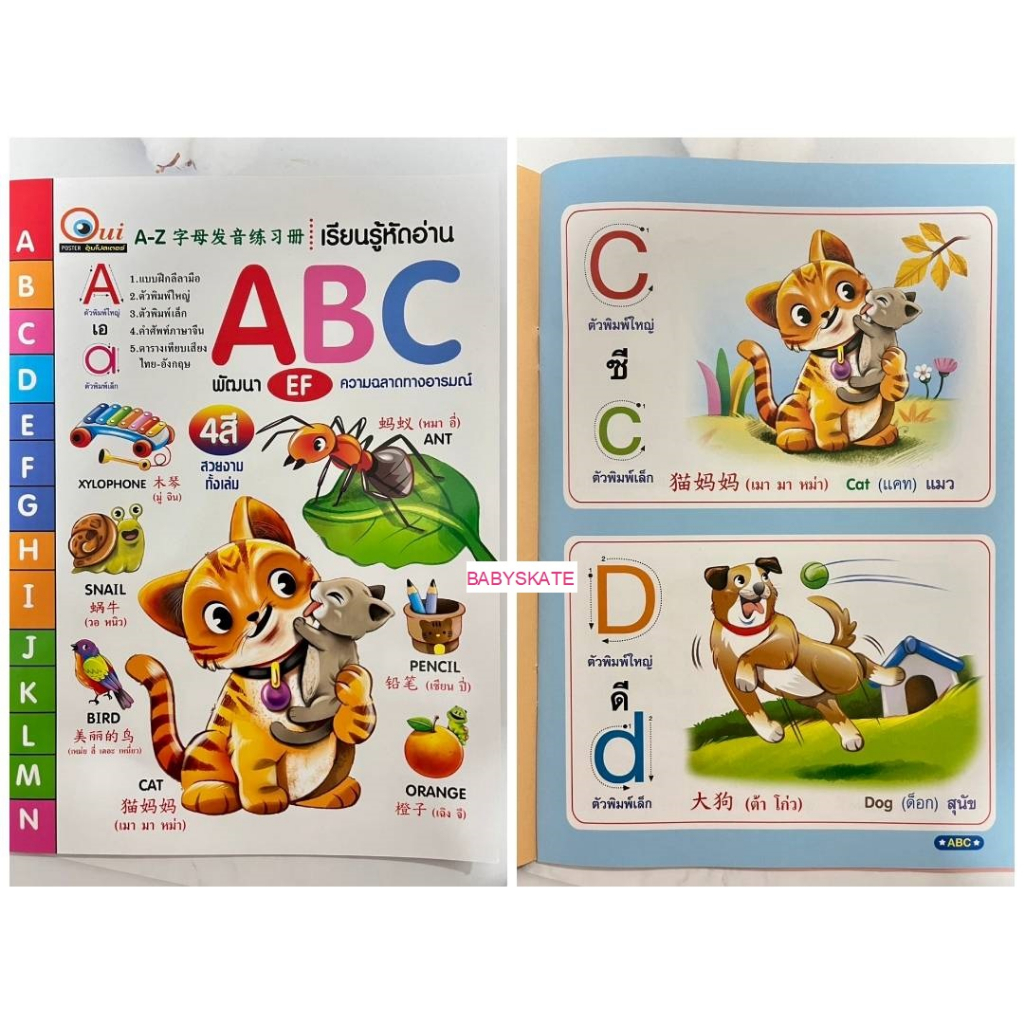 แบบหัดอ่าน ABC 3 ภาษา,แบบหัดอ่านABC,กอไก่ | Shopee Thailand