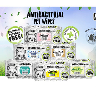 Absorb Pet Wipes ผ้าเปียกสัตว์เลี้ยง นำเข้าจากอเมริกา