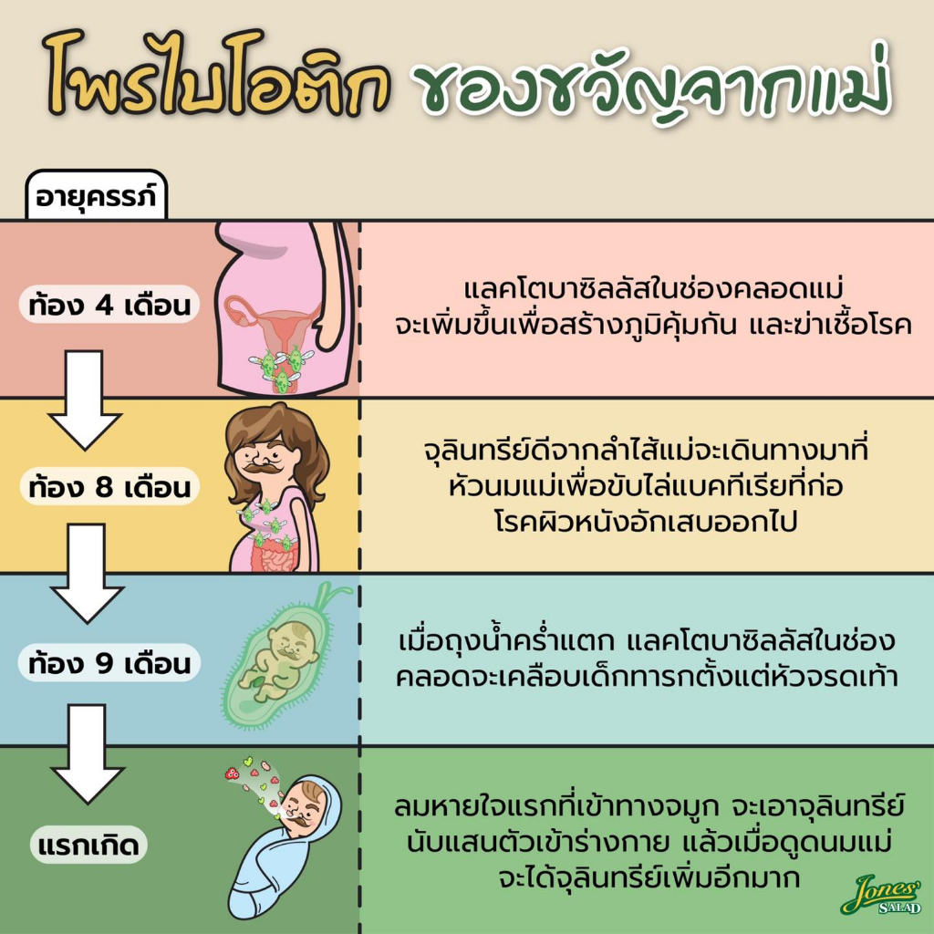 ส่งไว-จากบริษัทโดยตรง-phytovy-probiotic-ไฟโตวี่-โพรไบโอติก-จุลินทรีย์-10-สายพันธุ์-20000-ล้านตัว-สมดุลลำไส้-ภูมิคุ้มกัน