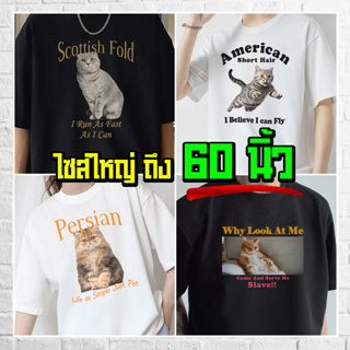 (ร้านจริง) แบร์บุรี : เสื้อยืดไซส์ใหญ่ เสื้อยืดคนอ้วน ไซส์ใหญ่ 5XL อก 60 นิ้ว (Cat V2)