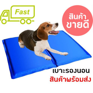 Pet cool mat ที่นอนเจลเย็นหมา แผ่นเจลรองนอนหมา แผ่นเจลเย็น MD 50cm X 65cm ช่วยลดความร้อน คลายร้อนให้สุนัข