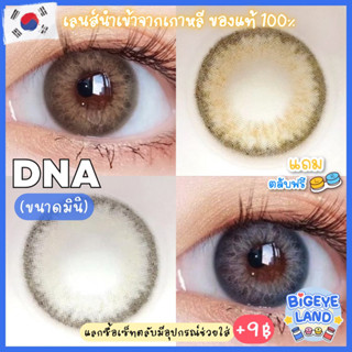 คอนแทคเลนส์ DNA Brown / Gray (Wink) ขนาดมินิ 🌷 สายฝอ ขายดี (Brown เปลี่ยนชื่อเป็น Chestnut)