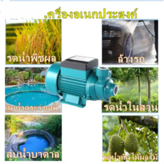 ปั๊มน้ำหอยโข่ง SOLAR PUMP 12V 24V 48V ปั๊มแช่ ปั๊มจุ่ม ไดโว่QB-60 230W 24VDC ปั๊มน้ำหอยโข่ง ยกสูงและปั๊มแบตเตอรี่พลังงาน