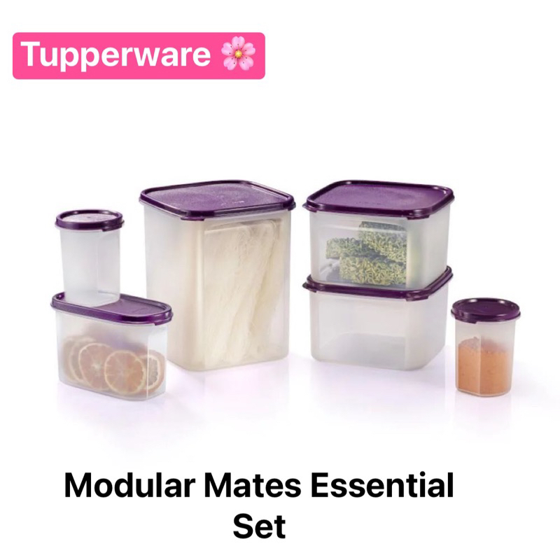 Tupperware รุ่น Modular Mates Essential Set | Shopee Thailand