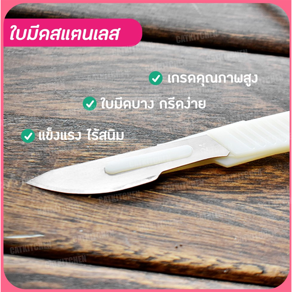 ส่งฟรี-มีดกรีดขนมปัง-catkitchen-สแตนเลสแท้-มีดกรีดลายขนมปัง-มีดตัดบาแกตต์-มีดตัดเค้ก-มีดตัดขนมปัง-มีดหั่นขนมปัง