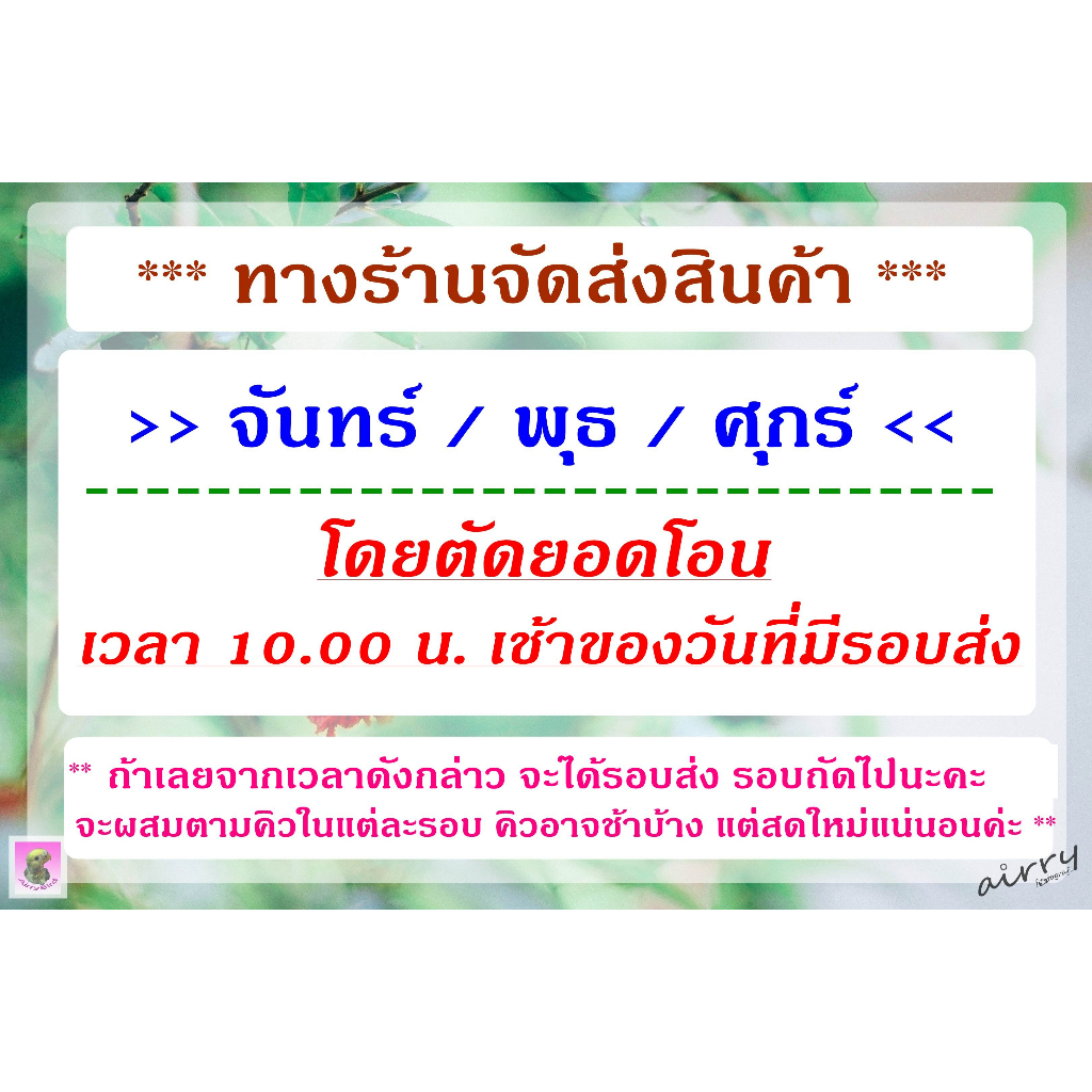 ธัญพืชรวม-airry-bird-สูตรนกขนาดกลาง-ซัน-กรีนชีค-ตระกูลคอนัวร์-ม็องค์-ริงเนค-ผสมผงชมพู-belvimin-1-กิโล