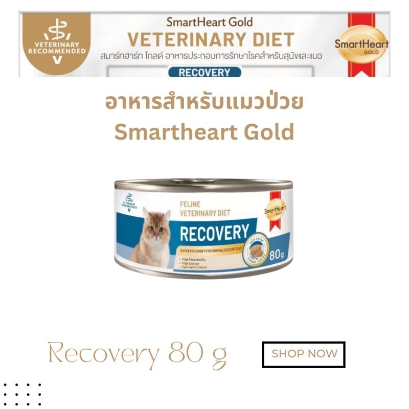 smartheart-gold-recovery-อาหารเปียกแมวป่วย-พักฟื้น-หลังผ่าตัด