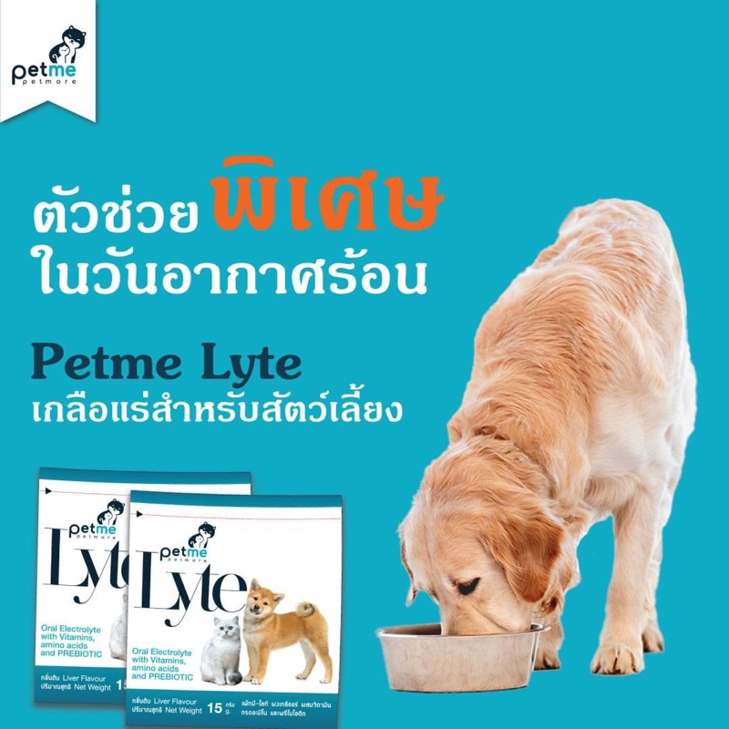 ภาพหน้าปกสินค้าPetme lyte เพ็ทมีไลท์ เกลือแร่ผสมวิตามินกลิ่นตับ เกลือแร่สุนัขและแมว(15g./ ซอง) จากร้าน hck_petshop บน Shopee