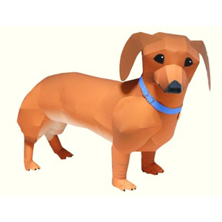 โมเดลกระดาษ 3D : สุนัขพันธุ์ดัคส์ฮุนท์ กระดาษโฟโต้เนื้อด้าน  กันละอองน้ำ ขนาด A4 220g.