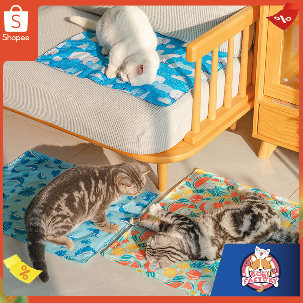 ภาพหน้าปกสินค้าBoqi Pet Cool mat สำหรับตว์เลี้ยง แบบหนา เย็นสบาย แผ่นเจลเย็น ที่นอนเย็น แผ่นทำความเย็น ที่นอนสัตว์เลี้ยง