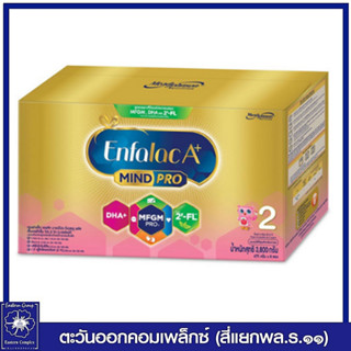 *เอนฟาแล็ค เอพลัส มายด์โปร ดีเอชเอ พลัส เอ็มเอฟจีเอ็ม โปร 2 วิท ทู-เอฟแอล 3800 กรัม (เอนฟา) 9133