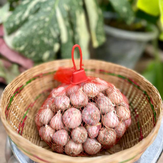 กระเทียมโทน ไซต์ใหญ่ ขนาดสม่ำเสมอ ที่ร้านคัดให้อย่างดีก่อนส่ง คัดพิเศษ เนื้อแน้น ขนาด 500-1000 กรัม ศรีสะเกษ photo