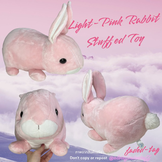 ตุ๊กตาน้องกระต่ายชมพู น่ารักตัวอ้วนจ่ำม่ำ ขนนุ่มมม น่าบีบน่าฟัด กอดได้ ป้าย AQUA ป้ายจาง Pink Rabbit Stuffed Toy