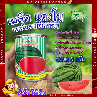 เมล็ดแตงโม แตงโมลายจินตหรา 5 กรัม 🍉 ตรารถถัง แตงโม เมล็ดพันธุ์  เมล็ดพันธุ์แตงโม อัตราการงอกสูง