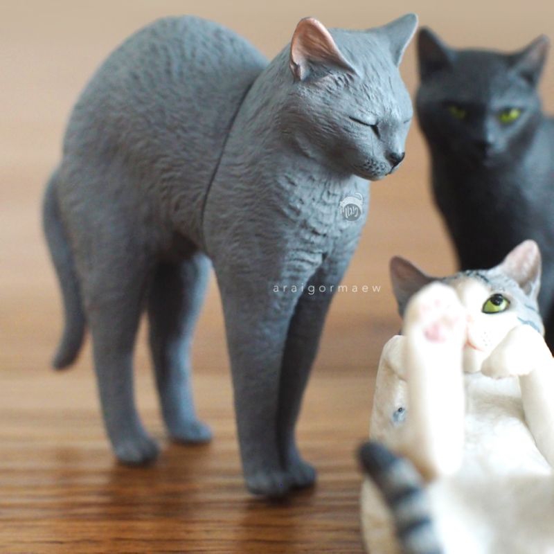 พร้อมส่ง-กาชาปองญี่ปุ่น-น้องแมวผลงานศิลปิน-osamu-moriguchi-จากซีรี่ย์-art-in-the-pocket