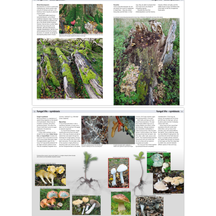 edible-fungi-of-britain-and-northern-europe-how-to-identify-collect-and-prepare-hardcover