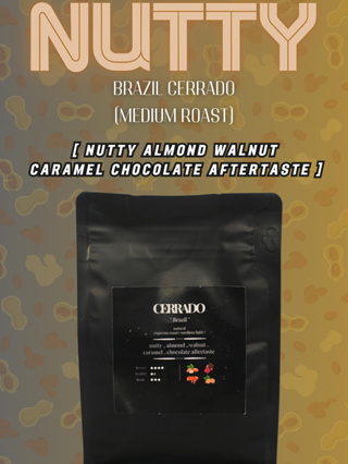 Brazil Cerrado (Nutty) 250 G 🇧🇷 | คั่วกลาง Medium Roast