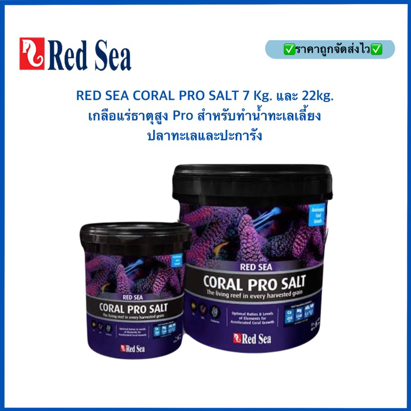 Redsea コーラルプロソルト 660L 2個