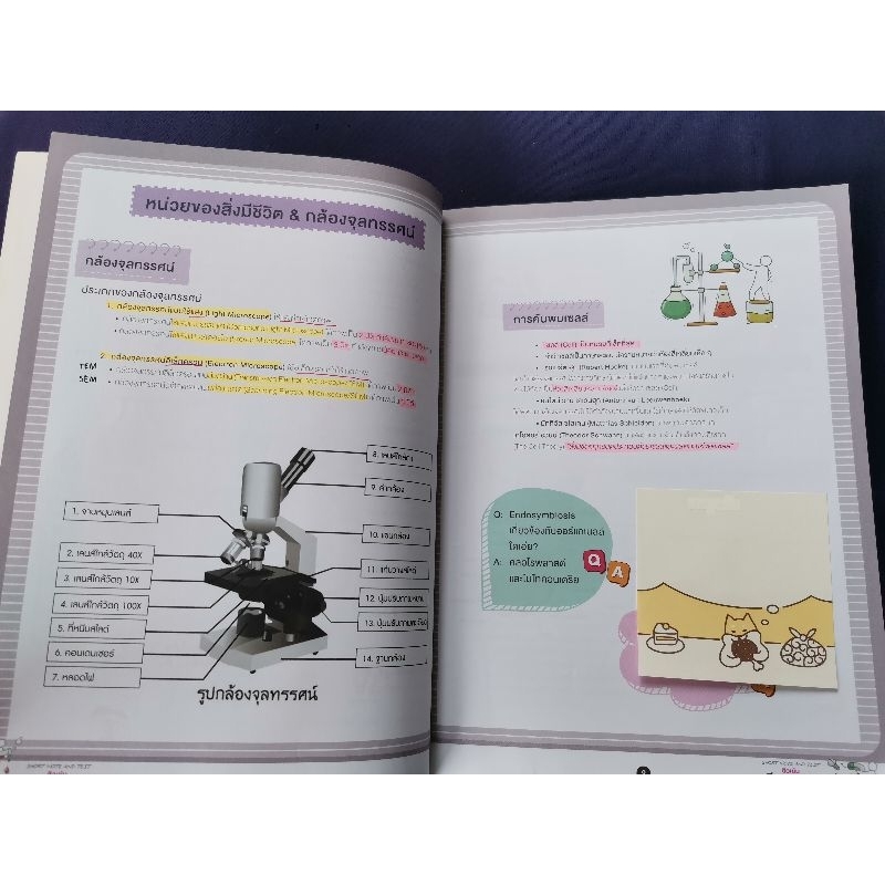 short-note-and-test-ติวเข้ม-ชีวะ-ม-ต้น-thinkbeyond