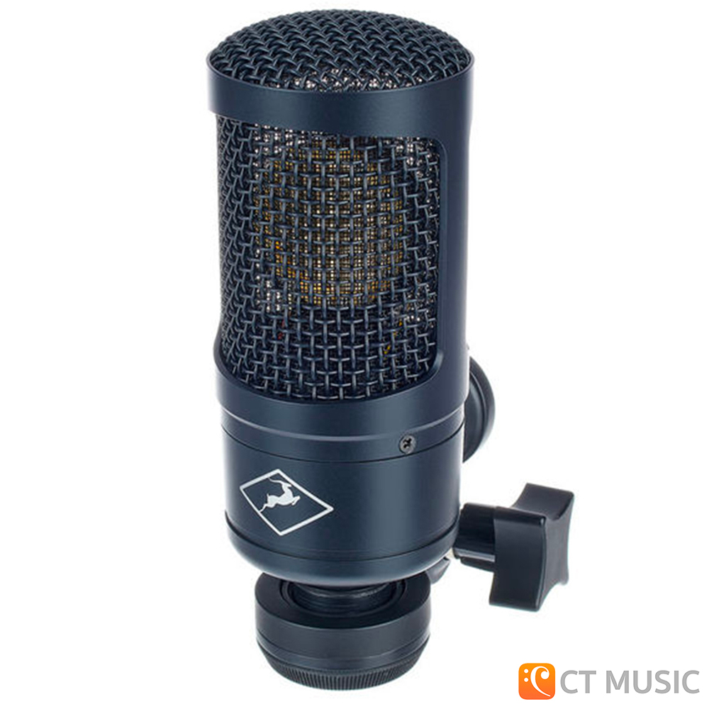 antelope-audio-edge-solo-ไมโครโฟนคอนเดนเซอร์-condensor-microphone