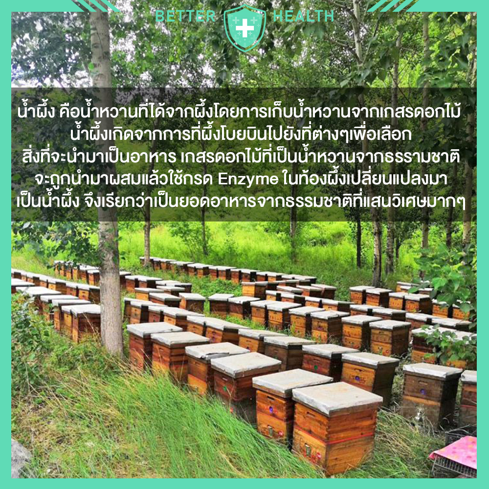 รวงน้ำผึ้งสดจากฟาร์ม-ธรรมชาติ-100-ขนาด-250-กรัม-ผลิตจากเกสรดอกไม้ป่า-หอม-สดชื่น-ได้ประโยชน์