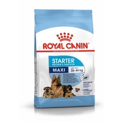 Royal canin Maxi Starter 1 kg อาหารแม่สุนัข และลูกสุนัขพันธุ์ใหญ่ ชนิดเม็ด (MAXI STARTER)