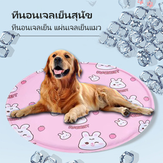 Pet Cool mat สัตว์เลี้ยง ที่นอนเจลเย็น แผ่นเจลเย็น เบาะนอนเย็น สำหรับสัตว์  แบบหนา เย็นสบาย เบาะแมวเบาะสุนัข แผ่นลเย็น