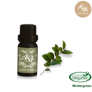 Aroma&amp;More Wintergreen Essential oil Organic 100% / น้ำมันหอมระเหยวินเทอร์กรีน ออร์แกนิค / Nepal 5/10/30ML