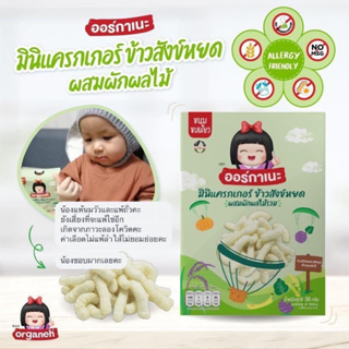 Organeh ออร์กาเนะ 👶🏼🌾ขนมเสริมพัฒนาการเด็ก 6 เดือนขึ้นไป มินิแครกเกอร์ข้าวสังข์หยด (ผสมผลไม้รวม) 36 กรัม