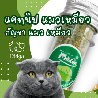 พร้อมส่ง🔥🔥 ร้านไทย 🇹🇭 ส่งไว แคทนิป 🍃🍃 กัญชา แมว ชอบมาก หอมๆฟิน คลายเครียดน้องแมว อุดหนุนร้านไทย catnip