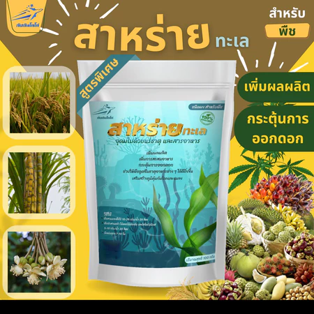 สาหร่าย สำหรับพืช สกัดเข้มข้น 100% ขนาด 100 กรัม 2