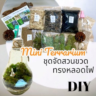 ชุดจัดสวนขวด Terrarium ขวดแก้วทรงหลอดไฟ