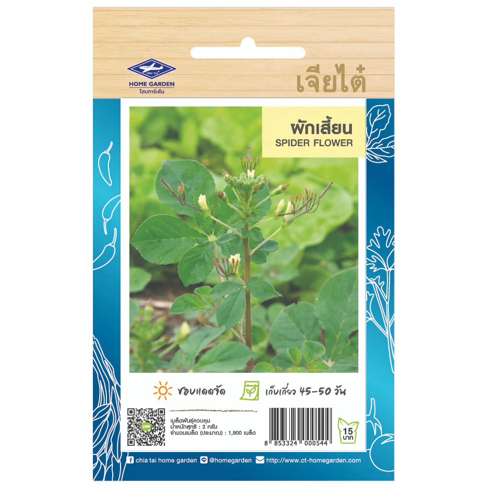 เจียไต๋ (ซื้อ10แถม2) เมล็ดพันธุ์ ผักเสี้ยน ขนาด2กรัม ประมาณ1,900เมล็ด Spider Flower ผักเสี้ยน ผักเสี้ยนขาว ผักส้มเสี้ยน
