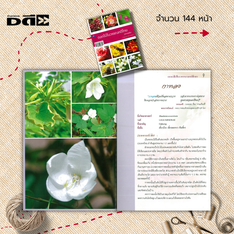 หนังสือ-ดอกไม้ในวรรณคดีไทย-ฉบับสุดคุ้ม-พันธุ์ไม้-ไม้ดอก-กรรณิการ์-กาหลง-แก้ว-กุหลาบ-กระดังงาสงขลา-กระดังงาไทย-กะทกรก