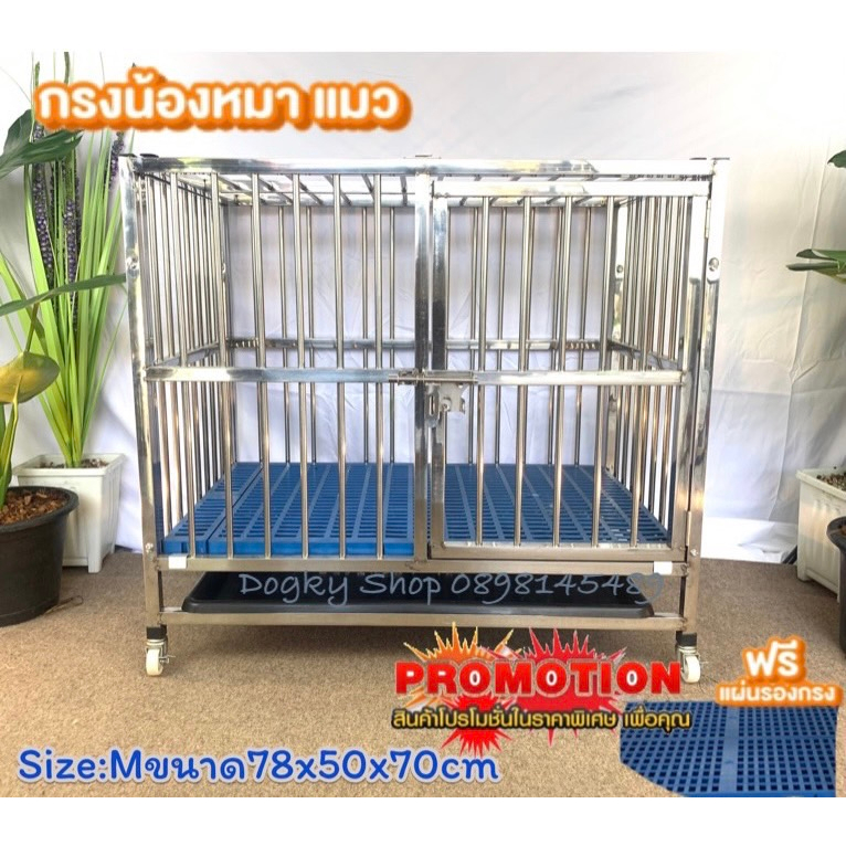 กรงสุนัข-stainless-steel-cage-กรงสแตนเลสพับ-ขนาดm-กว้าง-78-cm-ลึก-50-cm-สูง-60-cm-ฟรีแผ่นรองใต้กรงและแผ่นสแลท