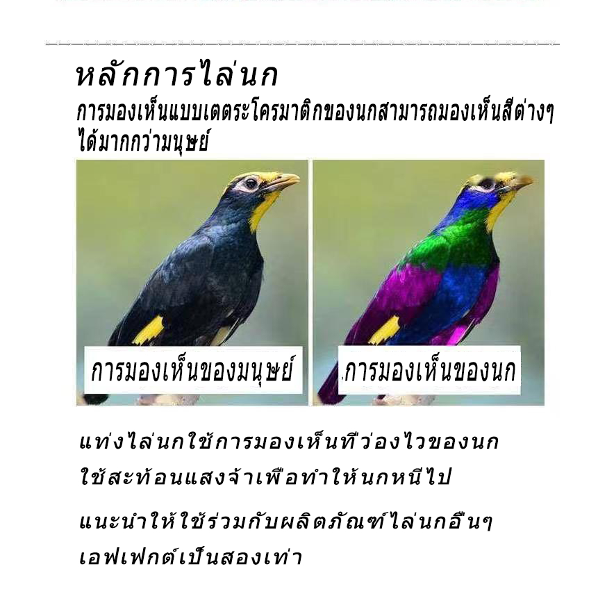 ซื้อ-2-แถม-3-เครื่องไล่นก-70cm-ปีกขยับได้-ไล่นก-ที่ไล่นก-ไล่นก-แท่งเกลียวไล่นก-เครื่องไล่หมา-อุปกรณ์ไล่นก-เครื่องไล่สัต